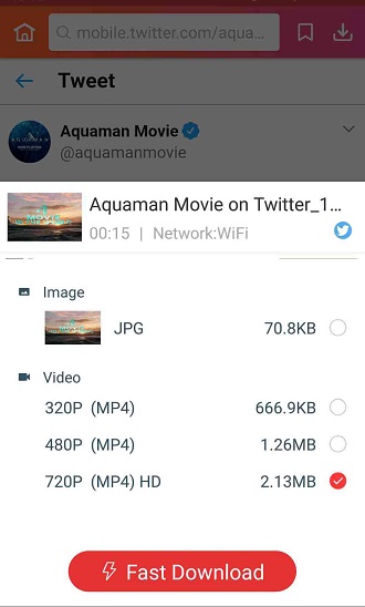 twitter video downloader iphone