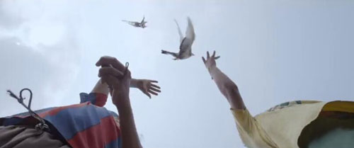 pigeon taming in Parava movie