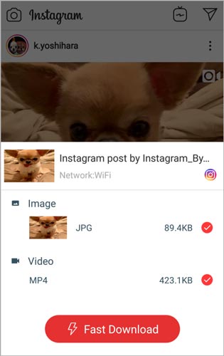select Instagram video image fast download