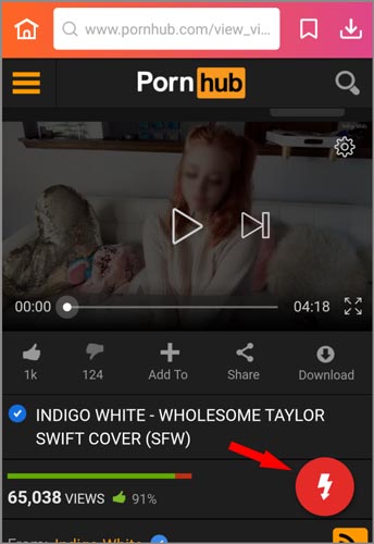 Pron Videos Dawnlod - How to Download Pornhub Videos: Know Truth before Deletion- InsTube