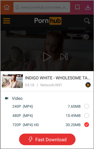 Porn Video Downloader