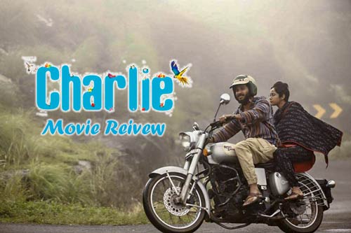 Charlie malayalam full movie online tamilrockers hot sale