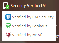 security-verify-instube