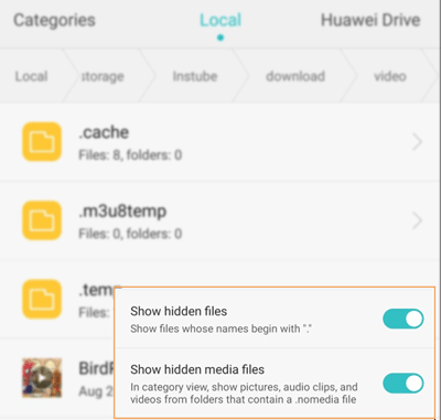 files-manager-enable-show-hidden-files-no-private-video-appear